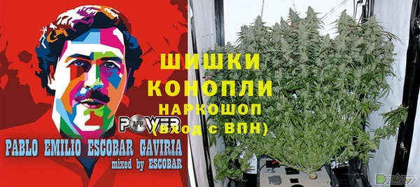 метадон Армянск