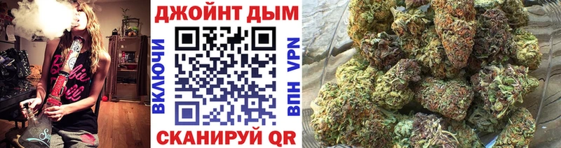 дарк нет какой сайт  цены наркотик  Солигалич  Бошки Шишки сатива 